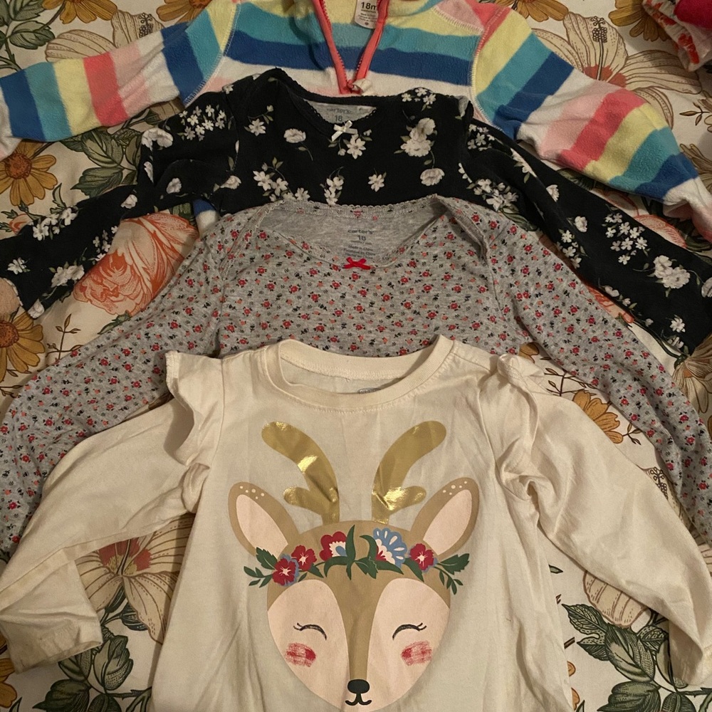 12 piece 18 months lot